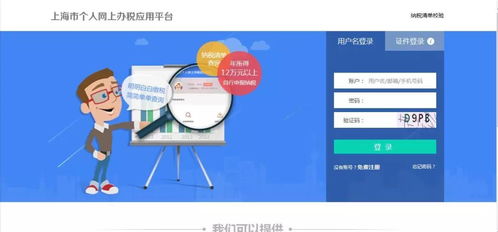 自然人稅收管理系統(tǒng)客戶端生產經營申報操作與信息系統(tǒng)運行維護服務指南